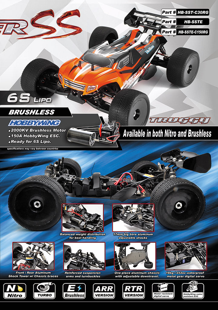 SSTE - 1/8 Scale Truggy